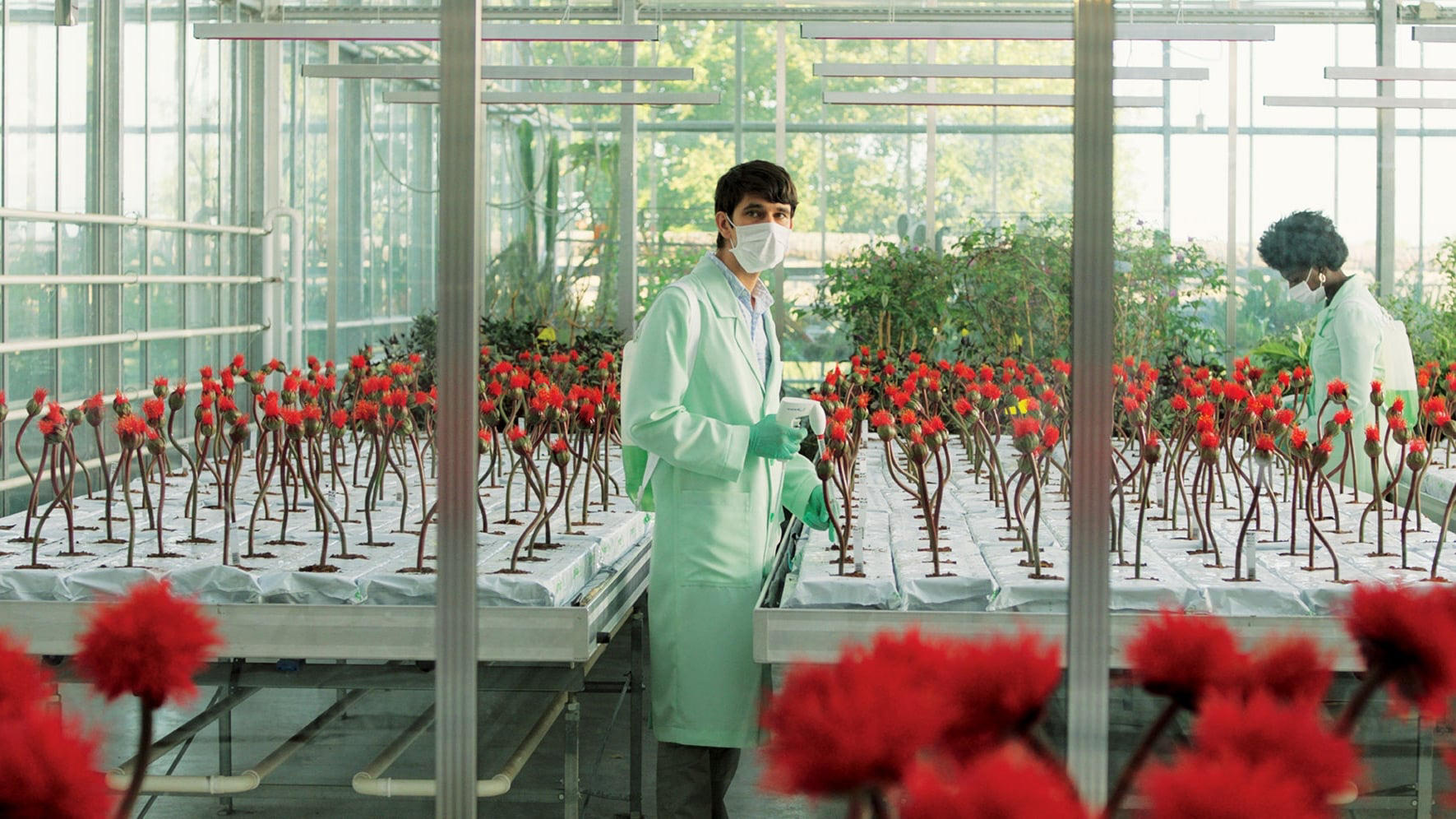 Top Films About Genetic Engineering You Haven’t Seen – 2010’s