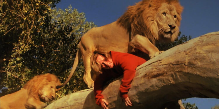 Roar