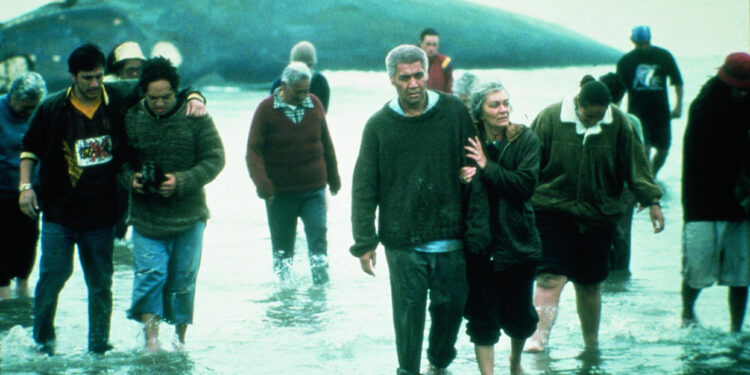 Whale Rider