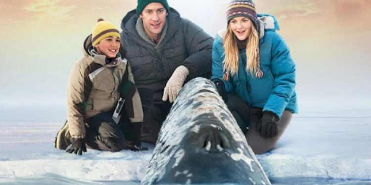 Big Miracle