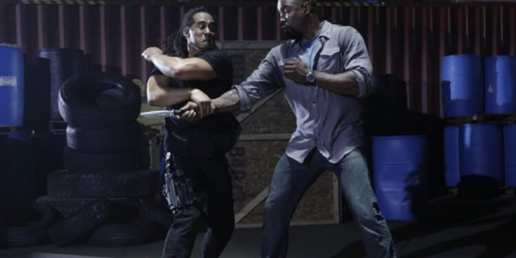 Falcon Rising