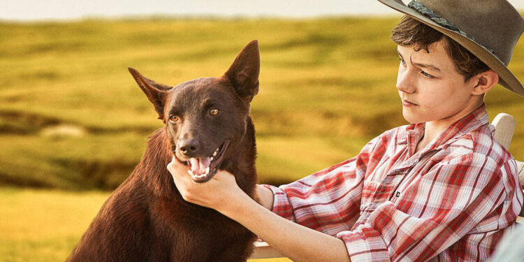 Red Dog: True Blue