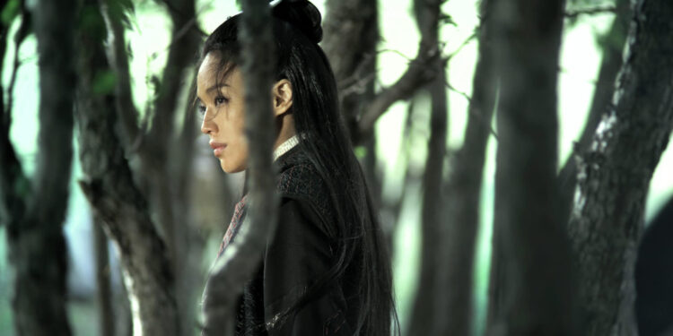 The Assassin
