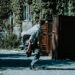 Welcome to Marwen