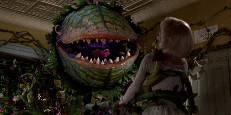 Little Shop of Horrors