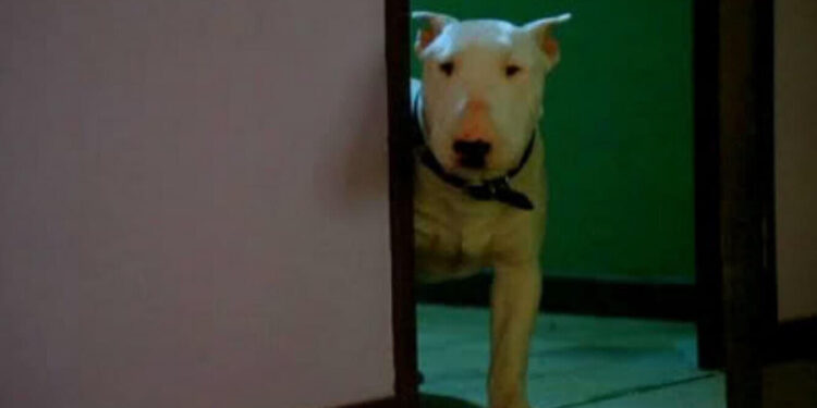 Baxter