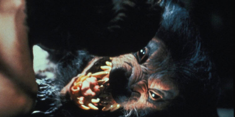 Howling V: The Rebirth