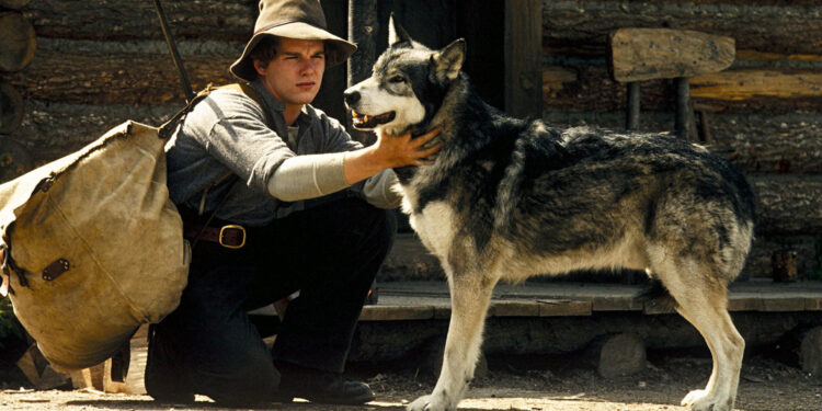 White Fang