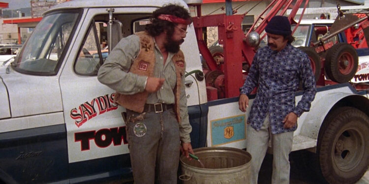 Cheech & Chong’s Next Movie