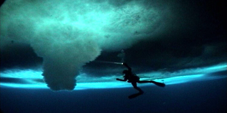 The Wild Blue Yonder