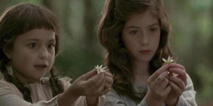 Photographing Fairies