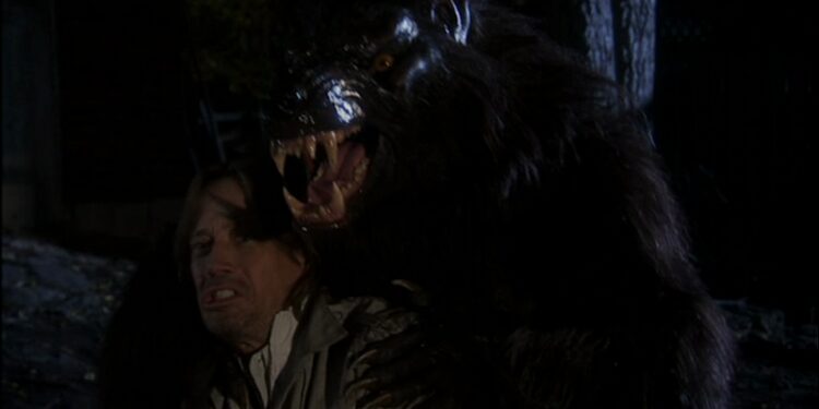 Never Cry Werewolf