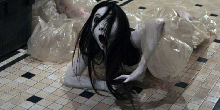 Sadako vs. Kayako