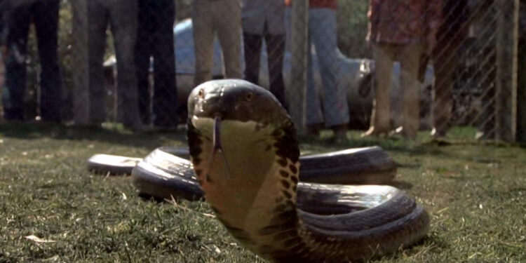 Sssssss