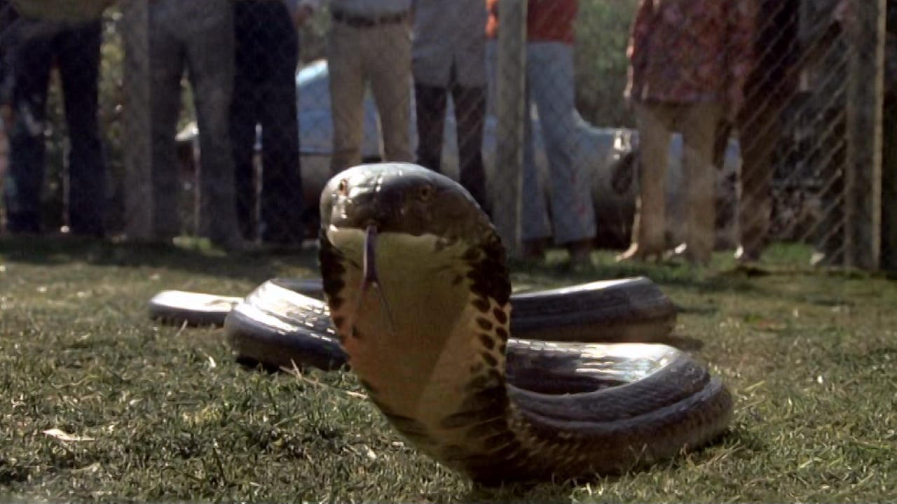 Top Films About Genetic Engineering You Haven’t Seen – 1970’s