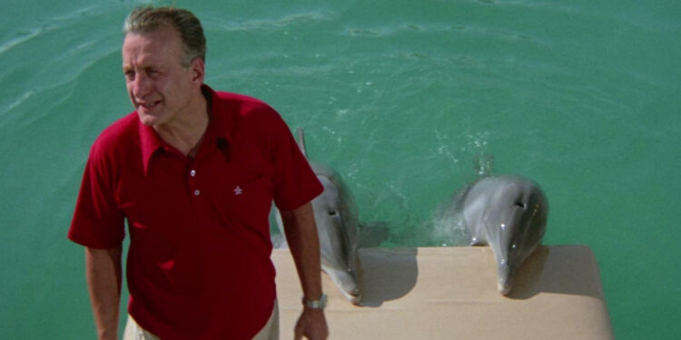 The Day of the Dolphin