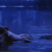 Underworld