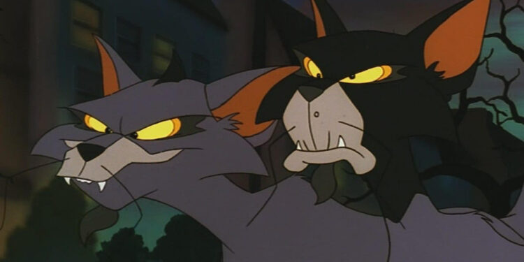 Felidae