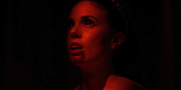 30 Days of Night: Dark Days