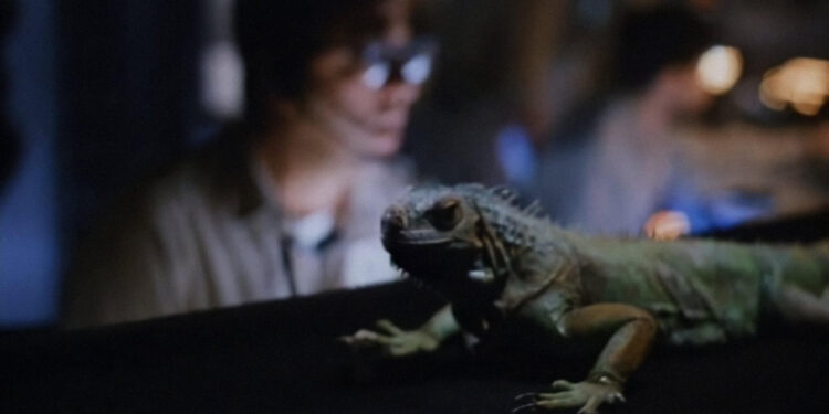 Carnosaur 2
