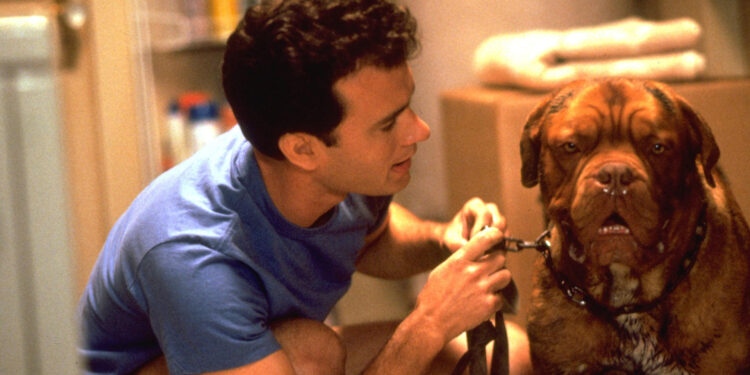 Turner & Hooch