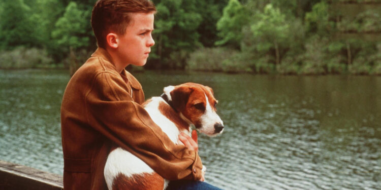 My Dog Skip