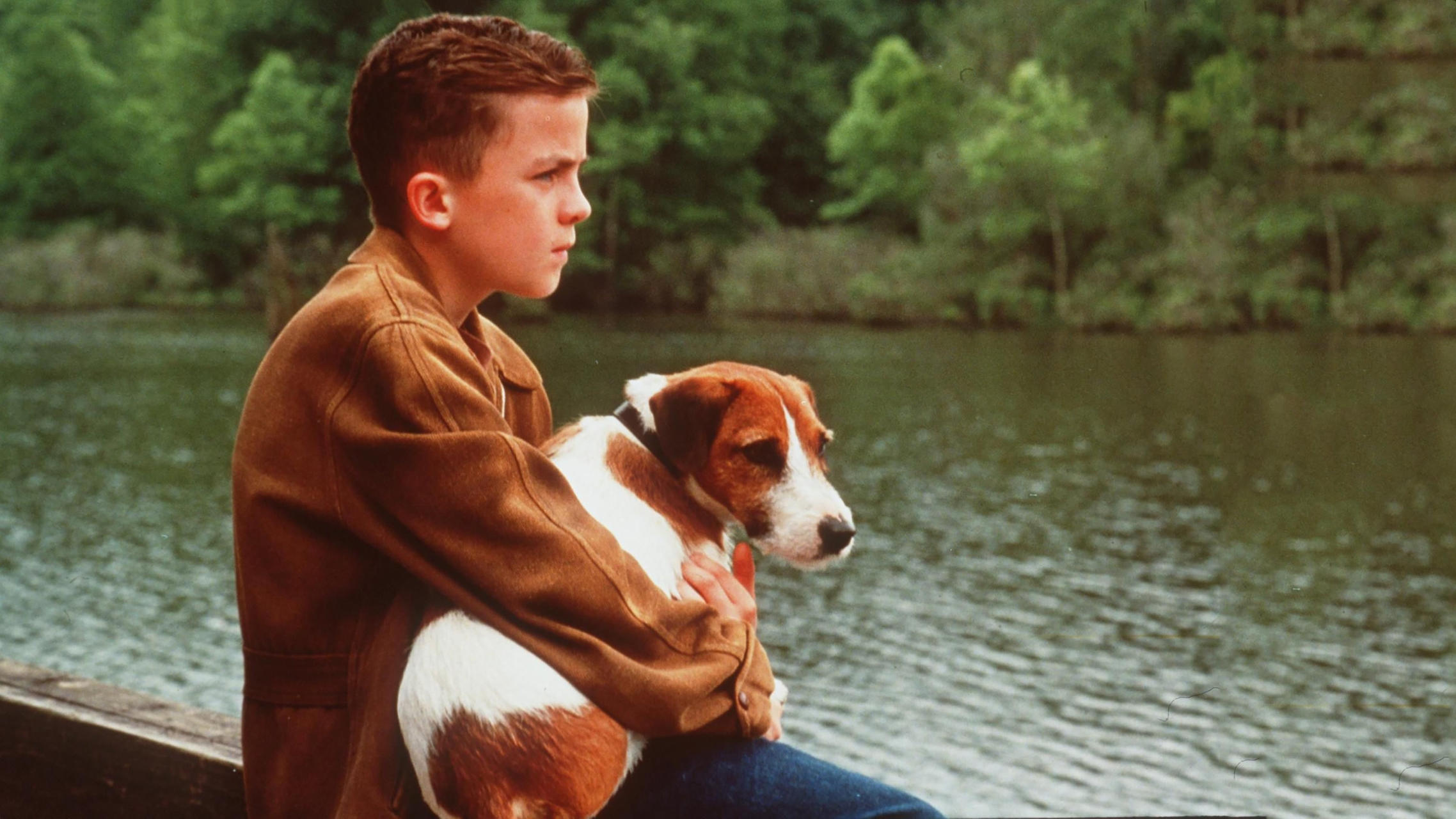 Top Family Films With Animals You Haven’t Seen