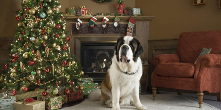 Beethoven’s Christmas Adventure