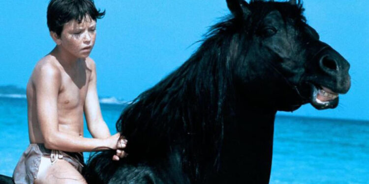 The Black Stallion