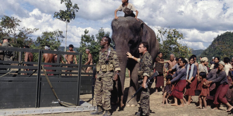 Operation Dumbo Drop