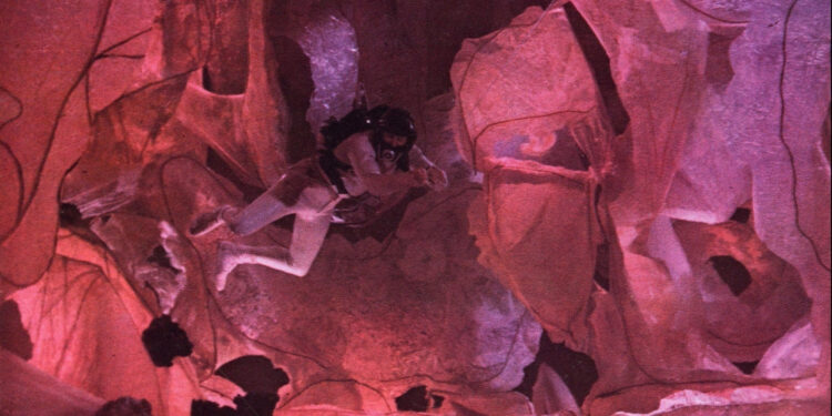 Fantastic Voyage