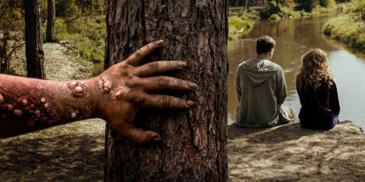 Nobody Sleeps in the Woods Tonight