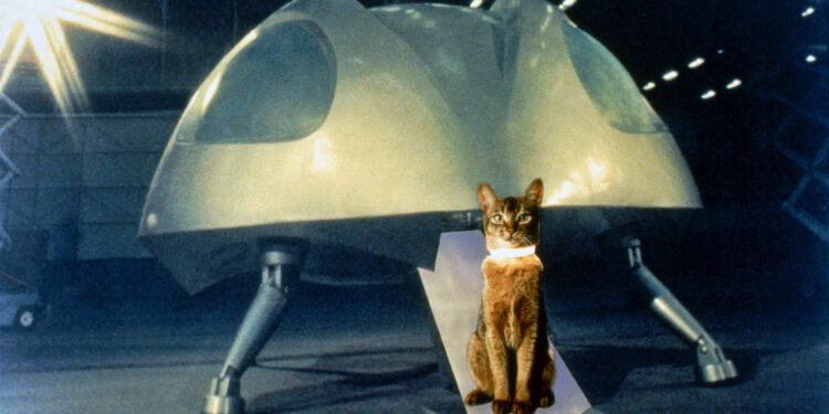 The Cat from Outer Space