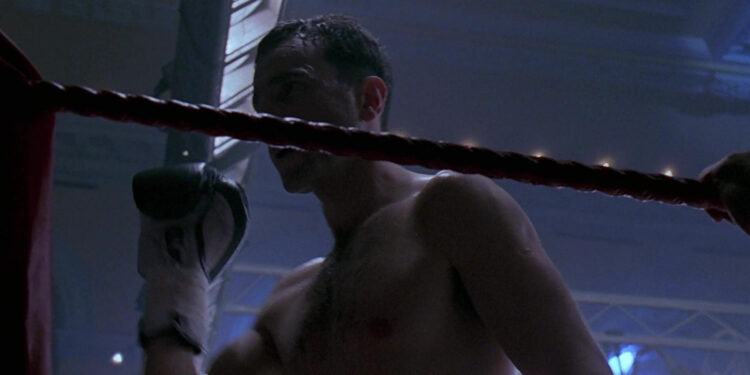 The Boxer