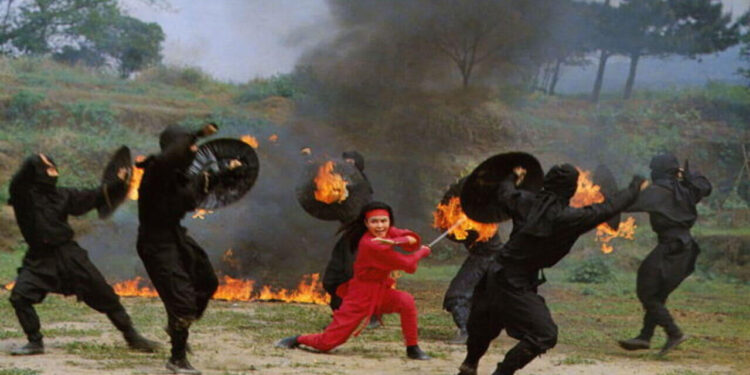 The Challenge of the Lady Ninja
