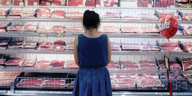 The Carnivores