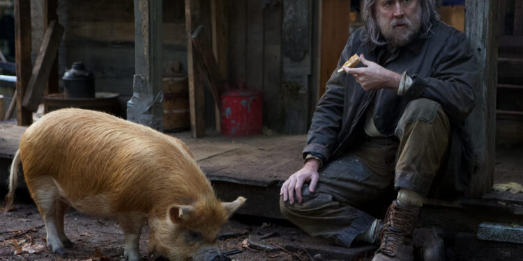 Pig