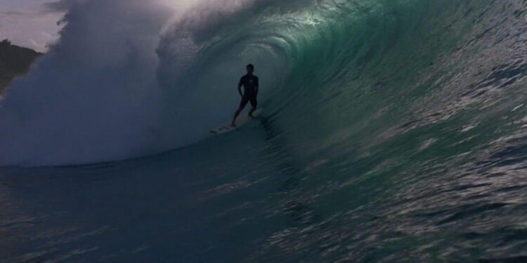 The Endless Summer 2