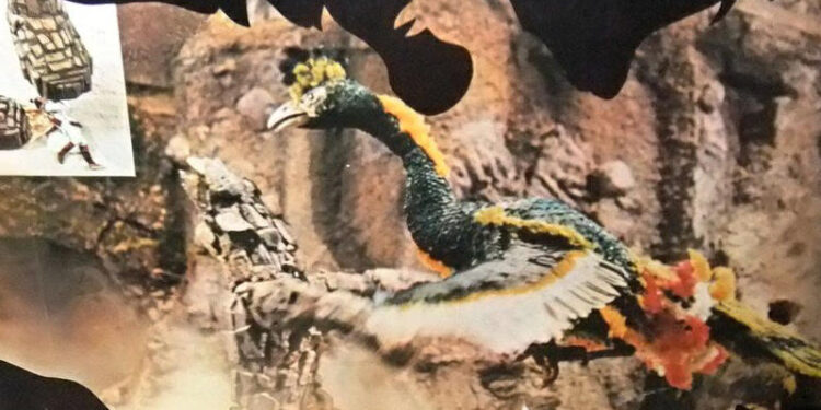 The Phoenix