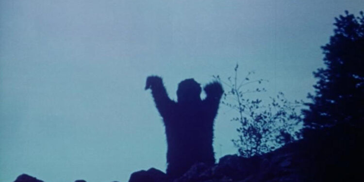 Sasquatch, the Legend of Bigfoot