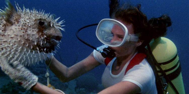 The Deep