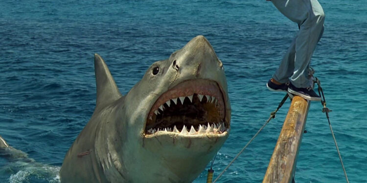 Jaws: The Revenge