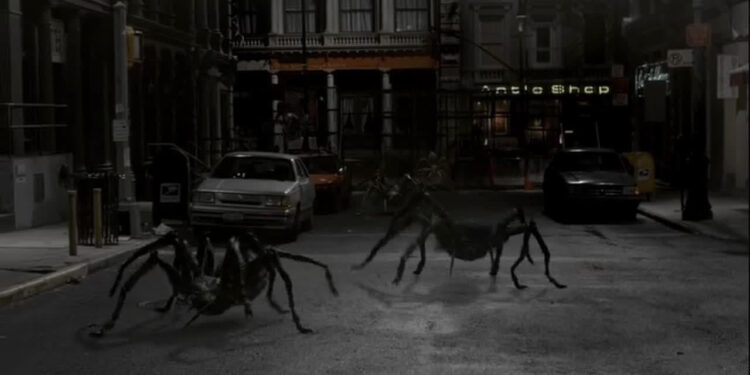 Spiders