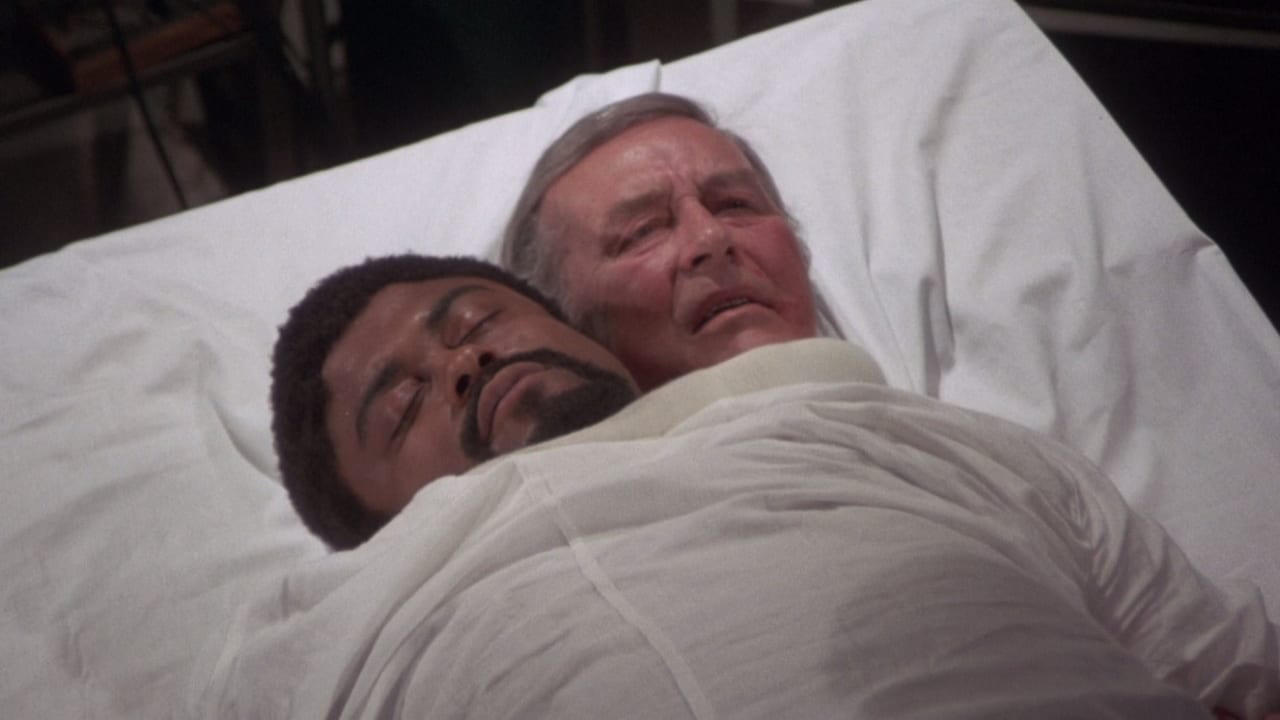 Top Body Horror Films You Haven’t Seen – 1970’s