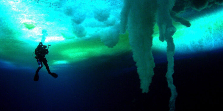 Encounters at the End of the World