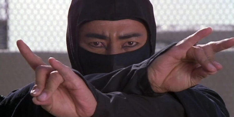 Revenge of the Ninja