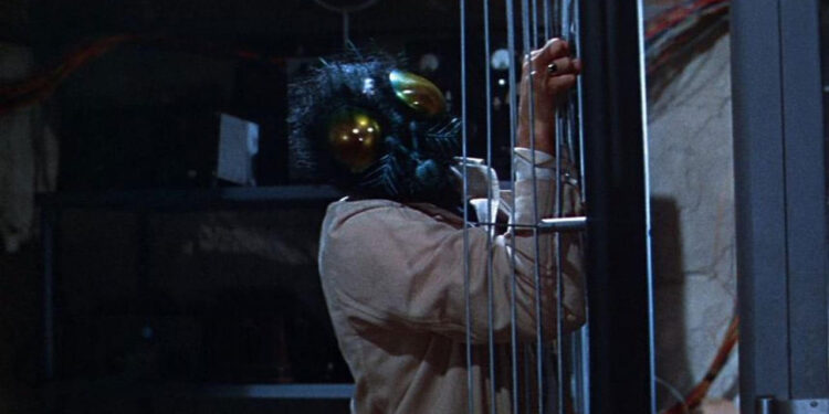 The Fly