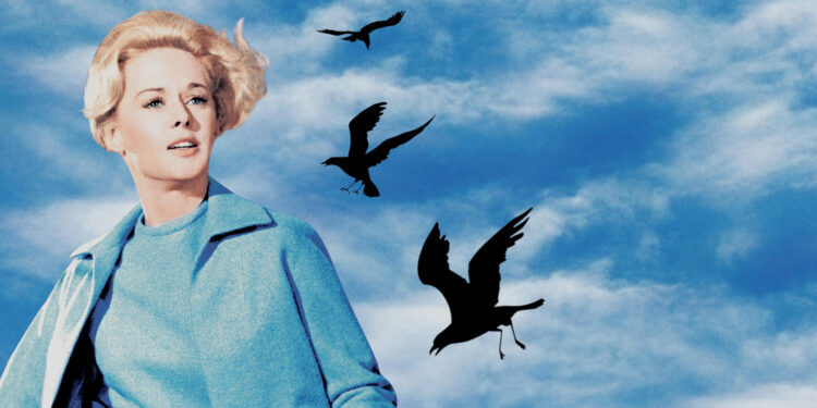 The Birds