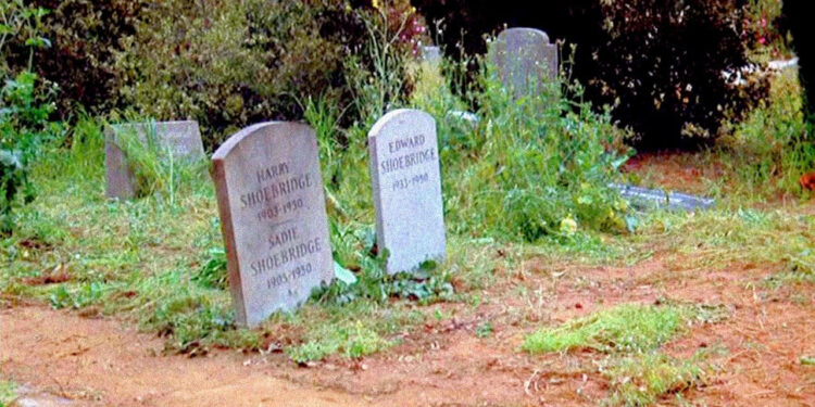 Family Plot