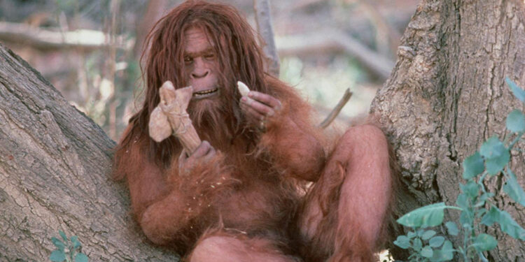 Missing Link
